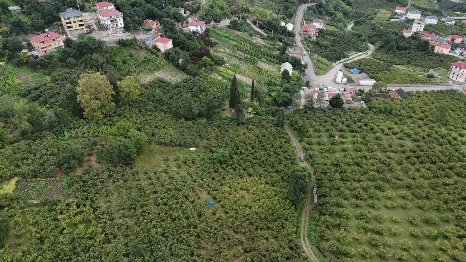 GÜRBULAK / SEYRANTEPE